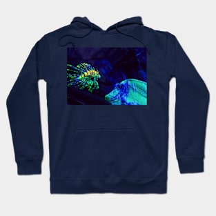 Water Meeting Hoodie